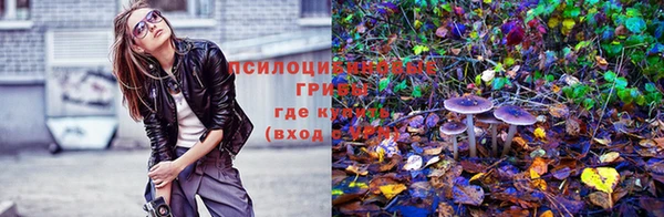 круглые Майский