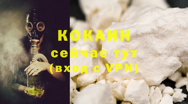 шишки Слюдянка