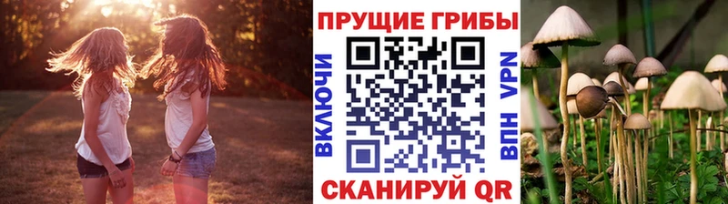 Псилоцибиновые грибы мухоморы  закладка  Мегион 