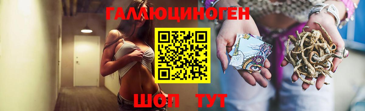 Галлюциногенные грибы Psilocybe  Псилоцибиновые грибы GOLDEN TEACHER  Мегион  дарнет шоп  Вход с VPN 